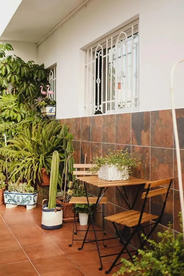 Apartmán Apartamento De La Candelaria II Santa Cruz de Tenerife Španělsko